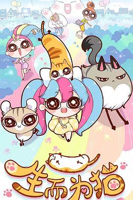 白山网站seo优化